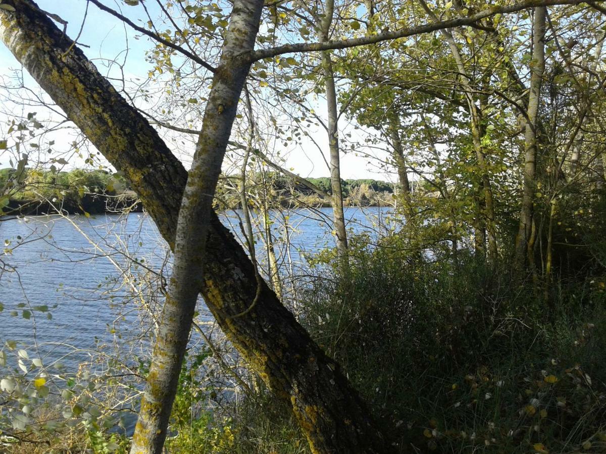 Pinar De Las Cabanuelas Villanueva de Duero Экстерьер фото