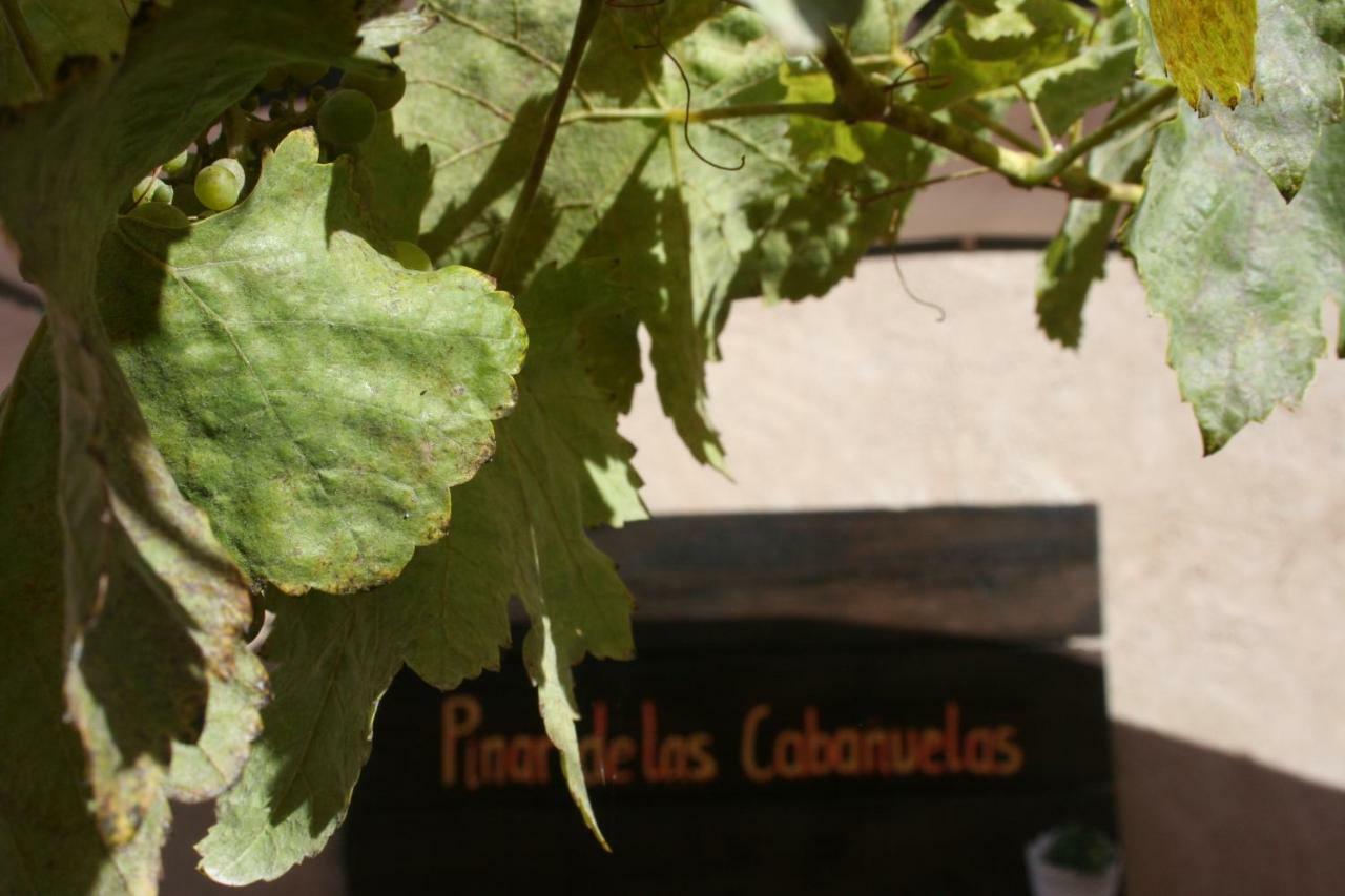 Pinar De Las Cabanuelas Villanueva de Duero Экстерьер фото